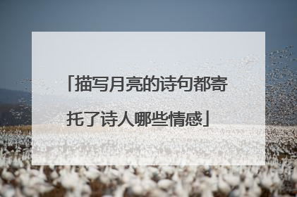描写月亮的诗句都寄托了诗人哪些情感