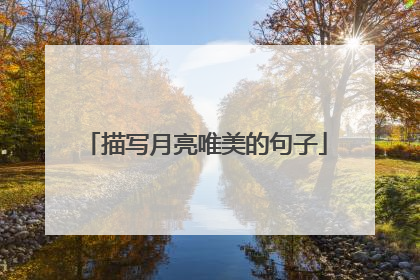 描写月亮唯美的句子