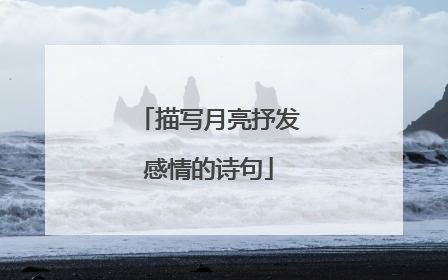 描写月亮抒发感情的诗句