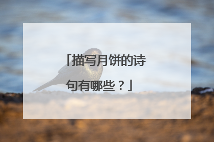 描写月饼的诗句有哪些？