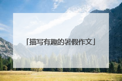 描写有趣的暑假作文