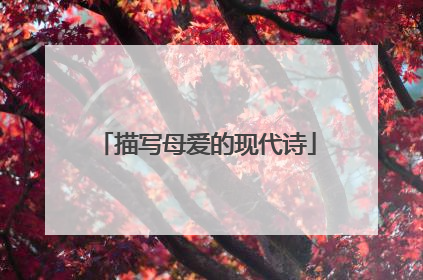 描写母爱的现代诗