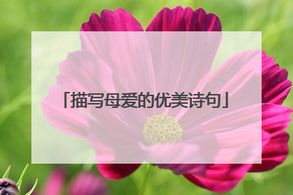 描写母爱的优美诗句