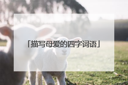 描写母爱的四字词语