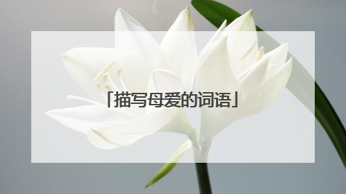描写母爱的词语