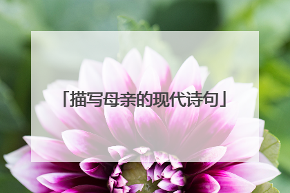 描写母亲的现代诗句
