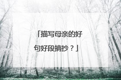 描写母亲的好句好段摘抄?