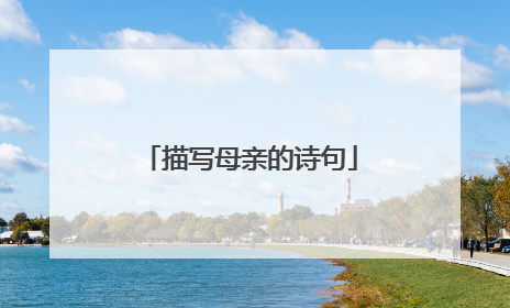 描写母亲的诗句