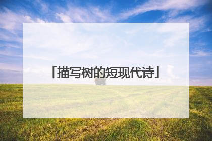 描写树的短现代诗