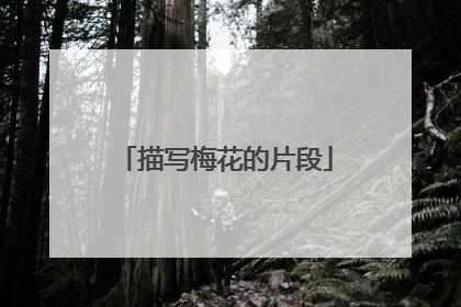 描写梅花的片段
