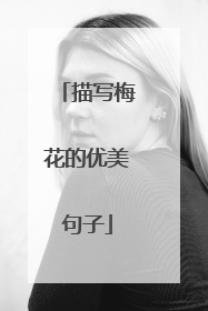 描写梅花的优美句子