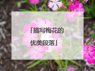 描写梅花的优美段落