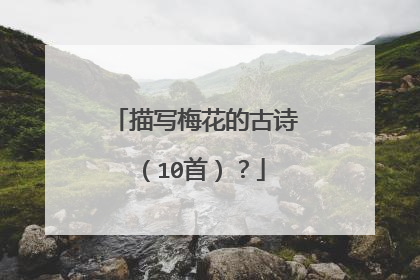描写梅花的古诗（10首）？
