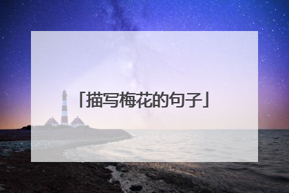 描写梅花的句子