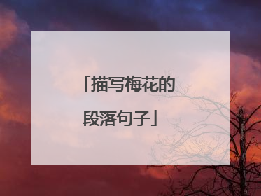 描写梅花的段落句子