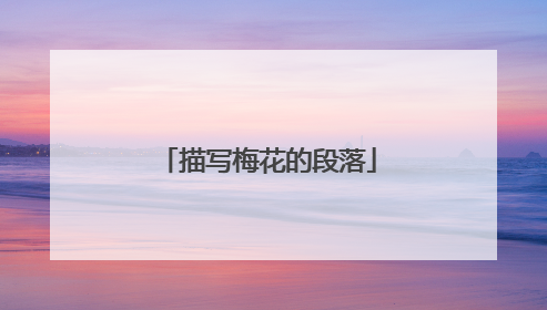 描写梅花的段落