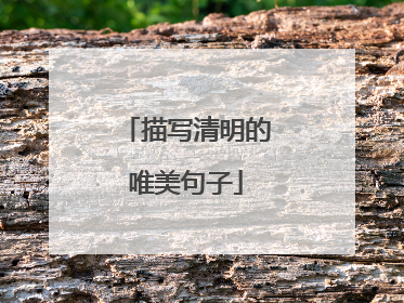 描写清明的唯美句子