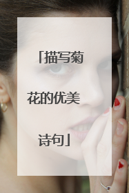 描写菊花的优美诗句