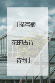 描写菊花的古诗诗句