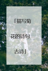 描写菊花的诗句古诗