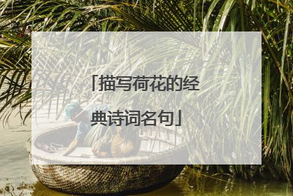 描写荷花的经典诗词名句