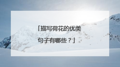 描写荷花的优美句子有哪些?