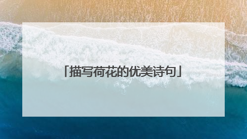 描写荷花的优美诗句