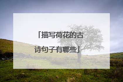 描写荷花的古诗句子有哪些