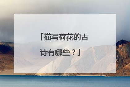 描写荷花的古诗有哪些？