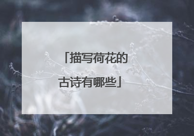 描写荷花的古诗有哪些