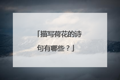 描写荷花的诗句有哪些?