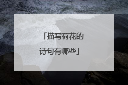 描写荷花的诗句有哪些