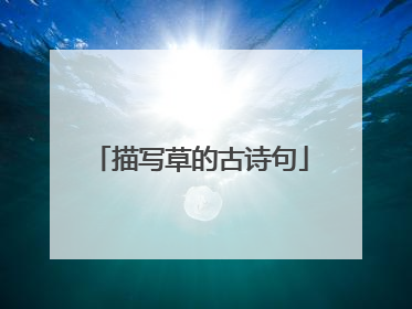 描写草的古诗句