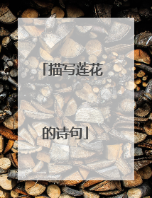 描写莲花的诗句