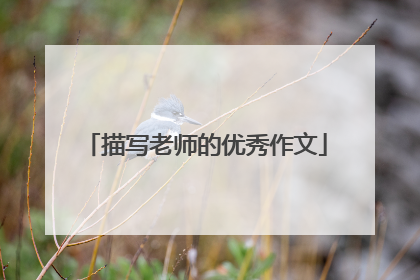 描写老师的优秀作文