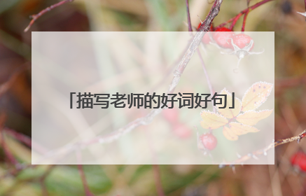 描写老师的好词好句