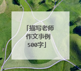 描写老师 作文事例500字