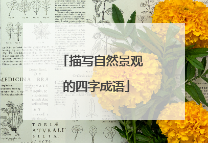 描写自然景观的四字成语