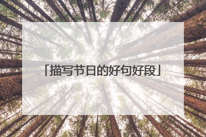 描写节日的好句好段