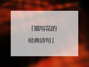 描写花的经典诗句