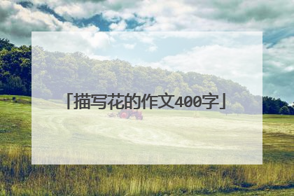 描写花的作文400字