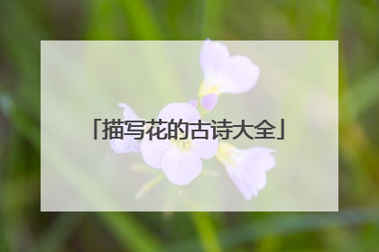 描写花的古诗大全