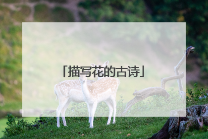 描写花的古诗