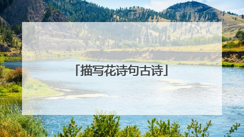 描写花诗句古诗