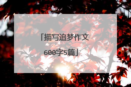 描写追梦作文600字5篇