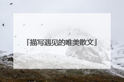 描写遇见的唯美散文