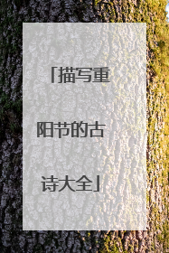 描写重阳节的古诗大全