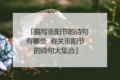 描写重阳节的诗句有哪些 有关重阳节的诗句大集合