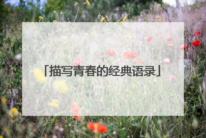 描写青春的经典语录