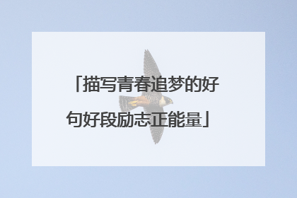 描写青春追梦的好句好段励志正能量